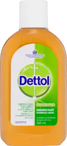 Dettol Classic Antiseptic Liquid