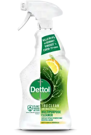 Dettol Tru Clean Antibacterial Multipurpose Cleaning Trigger Zesty Citrus & Lemongrass 500ml