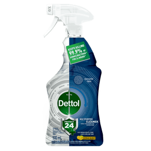 Dettol Protect 24 Multipurpose Cleaner Citrus Burst 