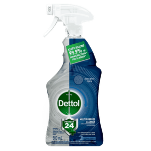 Dettol Protect 24 Multipurpose Cleaner Ocean Fresh 